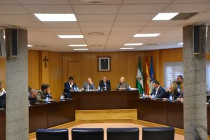 Pleno en el Ayuntamiento de Roquetas de Mar en una imagen de archivo.