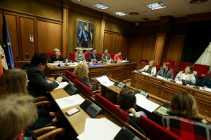 Fotografía del plenario del Consejo Provincial de Familia celebrado la pasada semana.