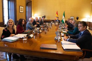 Imagen del Consejo de Gobierno. /Junta de Andalucía