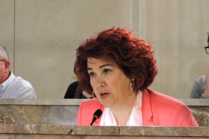 Amparo Ramírez, concejal del PSOE.