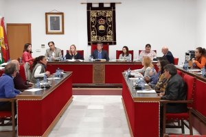 Sesión plenaria de Adra en la que ha salido adelante la propuesta.