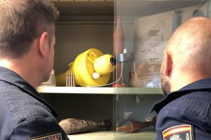 32 granadas de mano halladas. Algunas se guardaban como reliquias o herencias familiares.