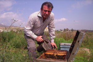 Un apicultor almeriense supervisando las colmenas de su propiedad.