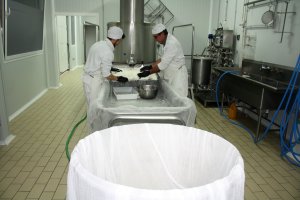 Un momento de la elaboración del queso, con el molde gigante en primer plano.
