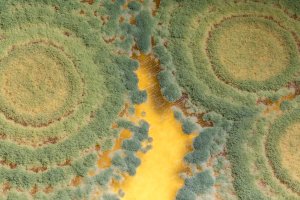 El secreto del éxito de Trianum es un hongo beneficioso apto para todo tipo de suelos