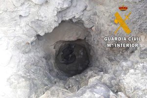 Pozo en el que cayeron los animales.