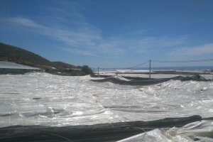 Daños causados por el granizo en La Mojonera en 2018