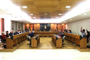 Votación favorable de todos los grupos para la construcción de un centro para personas con síndrome de down.