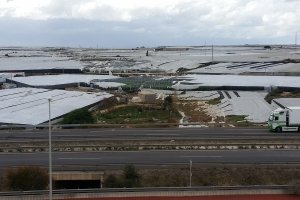 Efectos del tornado que afectó al Poniente el año pasado