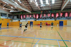 Los seguidores celestes disfrutaron de un gran partido.