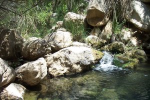 Imagen del Río Aguas.