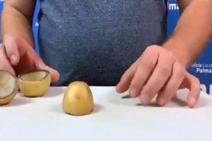 Imagen del vídeo difundido por la Policía Local de Palma.