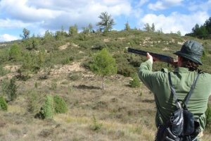 La temporada de caza comenzará en agosto.