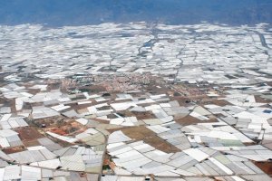 Panorámica de invernaderos en el campo almeriense.