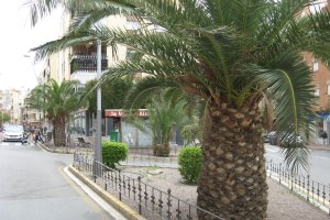 Plaza San Juan Bosco