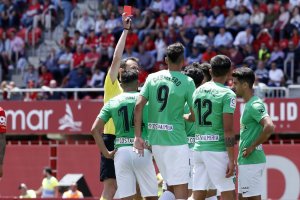 El árbitro cántabro.