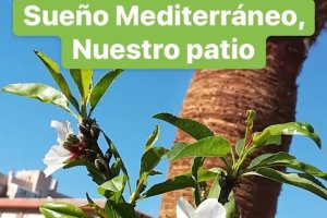 El CEIP Mar Mediterráneo, pionero en Andalucía con la transformación de su patio escolar.