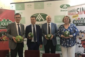 Miguel Abril, director comercial; Alejandro Monzón, presidente; Joan Mir, director general y Piedad Coscolla, directora de Marketing.