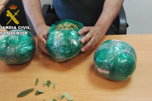 Hojas de coca incautadas durante la intervención de la Guardia Civil en el aeropuerto de Almería.