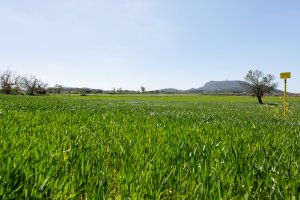SOSTENIBILIDAD Redexis trabaja por un aire más limpio en la provincia gracias al gas natural.