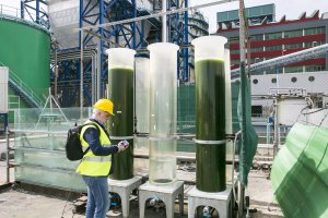 La central de Endesa en Carboneras ha puesto en marcha diversos proyectos para fomentar la sostenibilidad y el cuidado al medioambiente.