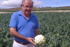 Pascual soler,  presidente de Tomasol, sostiene una coliflor.