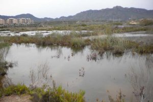 Salinas de Terreros en una imagen de 2010 de  E. J. Milla juan.