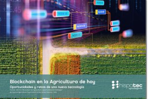 Imagen del informe.