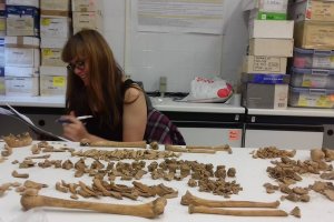 La antropóloga Sofía Zdral estudiando uno de los esqueletos hallados en Macael.