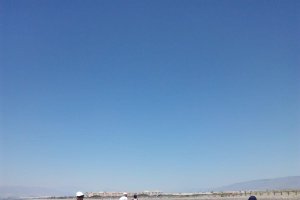 Limpieza de playa por internos.