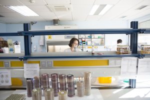 Laboratorio universitario.