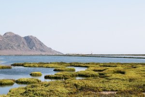 Cabo de Gata, espacio natural seleccionado para visitar con niños.