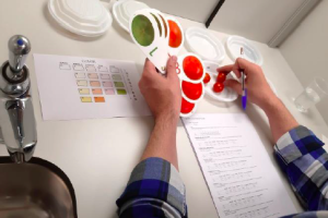 Cata de los tomates.