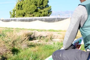 Agentes de la Guardia Civil en la zona donde se produjo el robo.