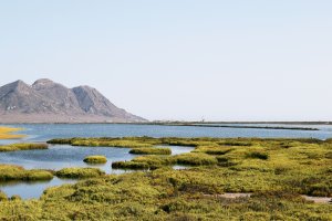 Las Salinas de Cabo de Gata, una de sus postales más características.