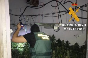 Plantación de marihuana localizada por la Guardia Civil en una vivienda de Roquetas de Mar.