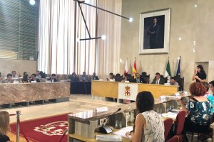 Sesión plenaria del Ayuntamiento de Almería.