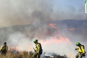 Fuego en el paraje de Hirmes en Berja. Foto de la cuenta de Twitter del Plan Infoca.