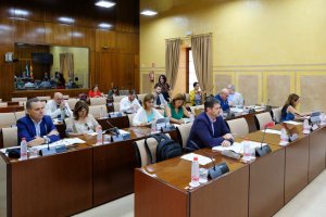 Comisión de Fomento del Parlamento de Andalucía.