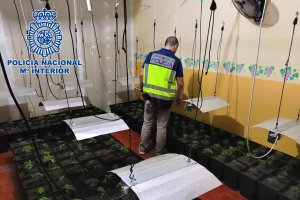 Interior de una de las viviendas registradas.