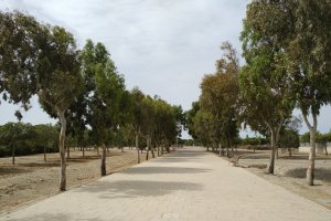 Camino principal del parque