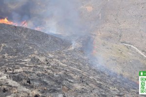 Foto del incendio en el paraje Majada del Aguilón, en Huércal de Almería, del Twitter del Plan Infoca.