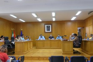 Imagen del Pleno llevado a cabo este pasado jueves.