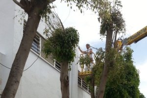 Operario trabajando en uno de los centros educativos.