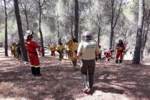 Foto de efectivos del Plan Infoca trabajando en una zona incendiada. Foto de la cuenta de Twitter del Plan Infoca.