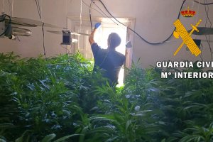 Un agente en el interior del cortijo con la marihuana.