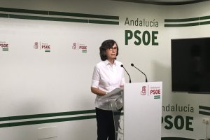 Rosa Aguilar, parlamentaria socialista, en la rueda de prensa de esta mañana.