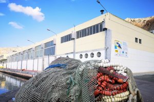 La vieja Lonja tendrá una segunda vida tras las reformas