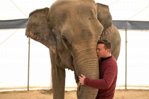 Los elefantes y sus cuidadores, grandes amigos.