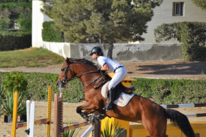 La amazona Teresa Díaz en un momento de la competición.